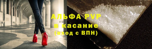 дмт Дмитриев