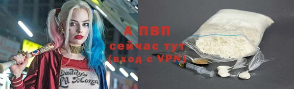 дмт Дмитриев