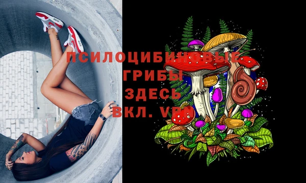 винт Дмитровск