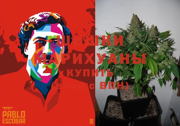 дмт Дмитриев