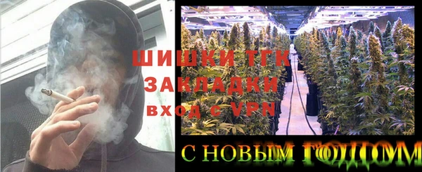 дмт Дмитриев