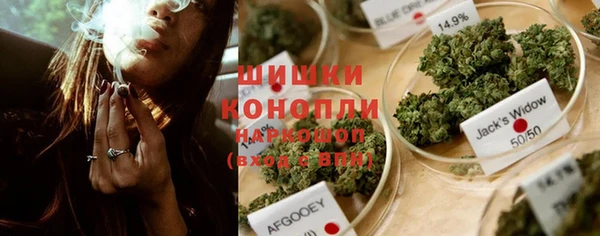 дмт Дмитриев