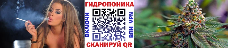 Бошки марихуана семена Петухово